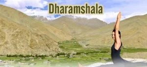 yoga teacher training dharamsala | Shree Hari Yoga