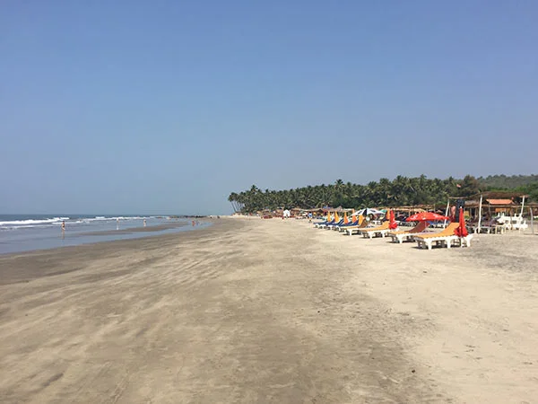 best yoga teacher training in Goa | Shree Hari Yoga