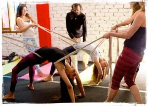 Yoga therapy benefits | Shree Hari Yoga