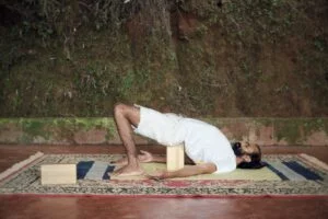 Bridge Pose | Shree Hari Yoga
