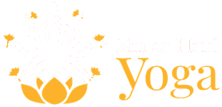 Shree Hari Yoga School | Yoga Teacher Training School India