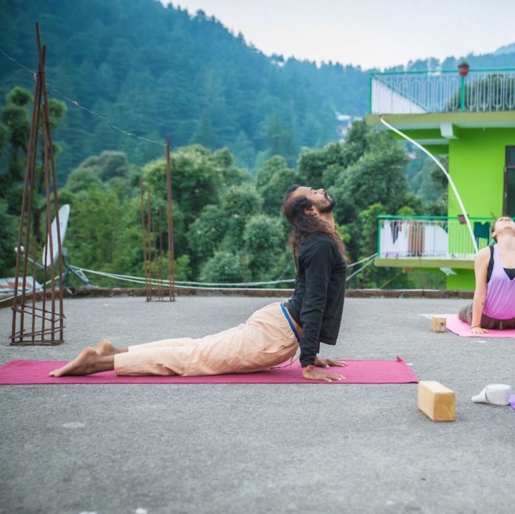 Hari, Urdhva Mukha Svanasana (Upward-Facing Dog Pose)