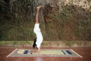 Pincha Mayurasana benefits | Shree Hari Yoga