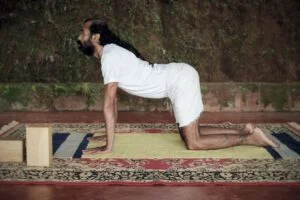 Bitilasana yoga pose | Shree Hari Yoga