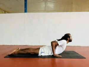 Bhujangasana yoga benefits | Shree Hari Yoga