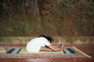seated forward bends | Shree Hari Yoga