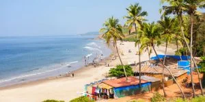 yoga teacher training Goa | Shree Hari Yoga