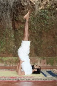 Sarvangasana benefits | Shree Hari Yoga