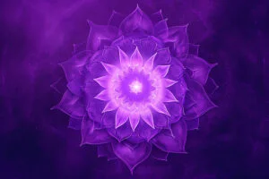 chakra energy centers | Shree Hari Yoga