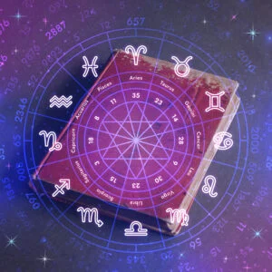 12 main meridians | Shree Hari Yoga