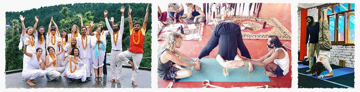 shree hari yoga Banner image