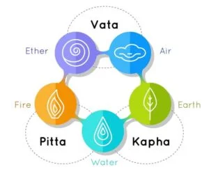 vata pitta kapha | Shree Hari Yoga