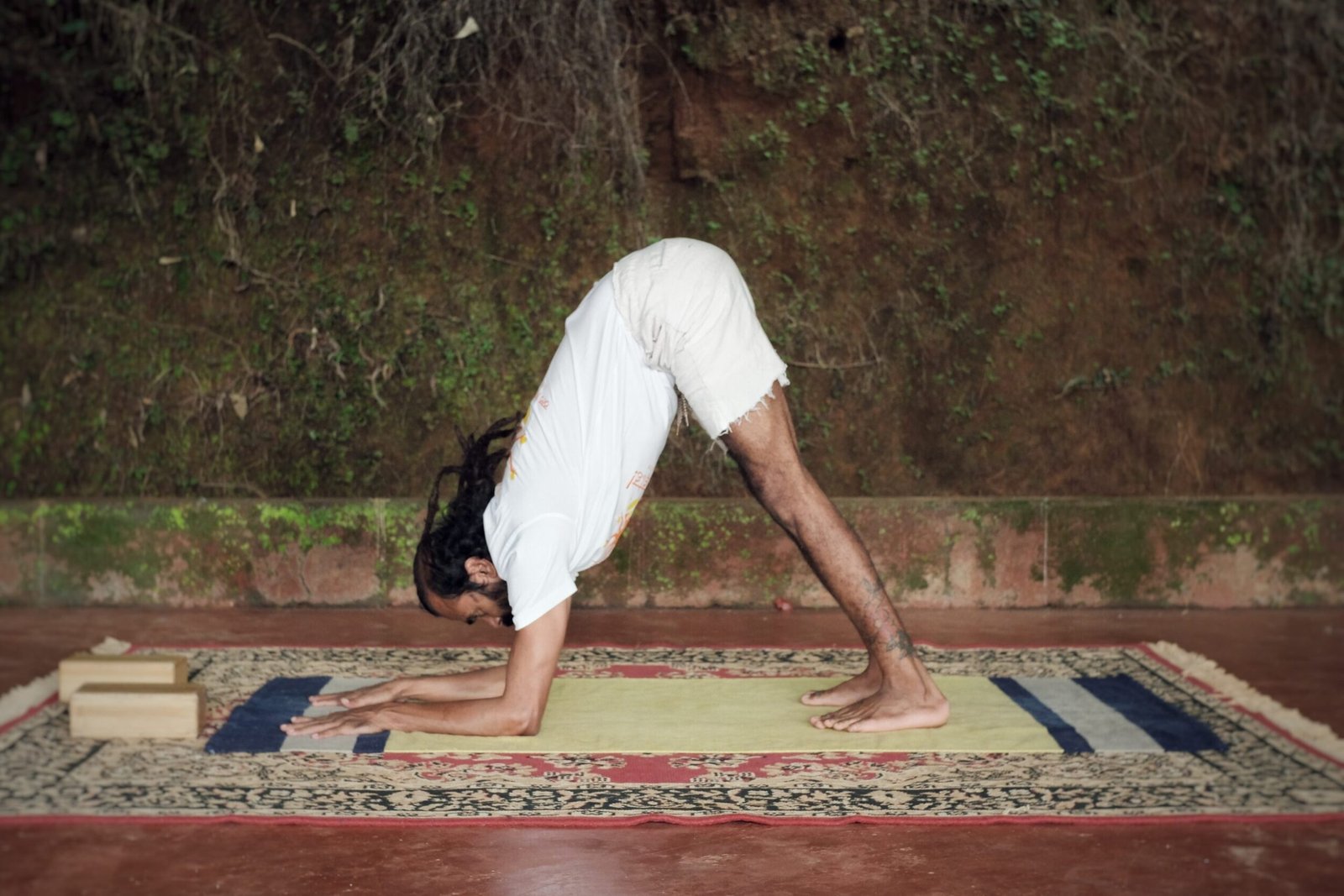 🐬Dolphin yoga pose | Ardha Pincha Mayurasana As I'm gradually (and VE... |  TikTok
