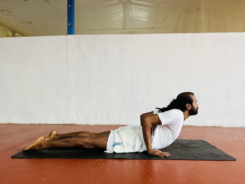 yoga poses - Cobra Pose position (bhujangasana) | Isolated s… | Flickr
