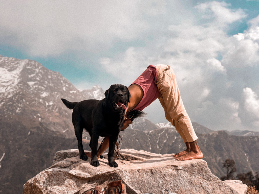 300H SOMATIC YOGA THERAPY YTTC DHARAMSHALA APR 2027