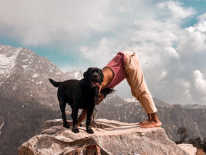 300H SOMATIC YOGA THERAPY YTTC DHARAMSHALA APR 2027