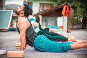 50H YIN YTTC DHARAMSHALA MAR 2026