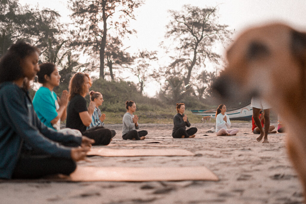 200H YIN YTTC GOA NOV 2026