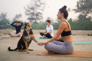 100H YIN YTTC GOA NOV 2026