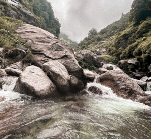 50H YIN YTTC DHARAMSHALA JUN 2026