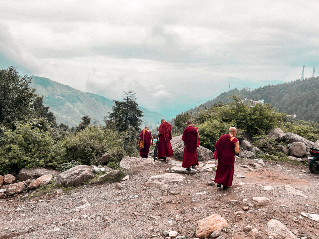 50H YIN YTTC DHARAMSHALA APR 2026