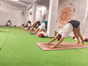 50H YIN YTTC DHARAMSHALA AUG 2026