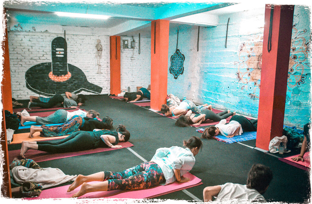 100H YIN YTTC DHARAMSHALA APR 2026