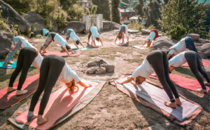 100H YOGA THERAPY TTC DHARAMSHALA APR 2026