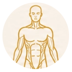 Anatomy & Physiology