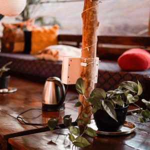 2034bfd6-6578-4320-bb74-f92fde69cb1c